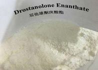 White Powder Masteron Steroid CAS 472-61-145 Drostanolone Enanthate Bodybuilding Supplements